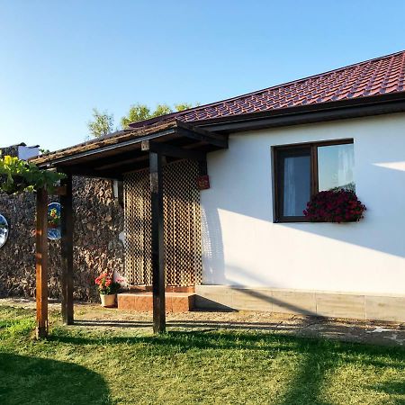 Villa Draganovi Kamen Bryag Exterior foto